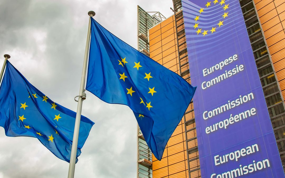 Policy Note on Revising the Horizontal Merger Guidelines: Balancing Consumer Welfare, Innovation, and Market Competitiveness