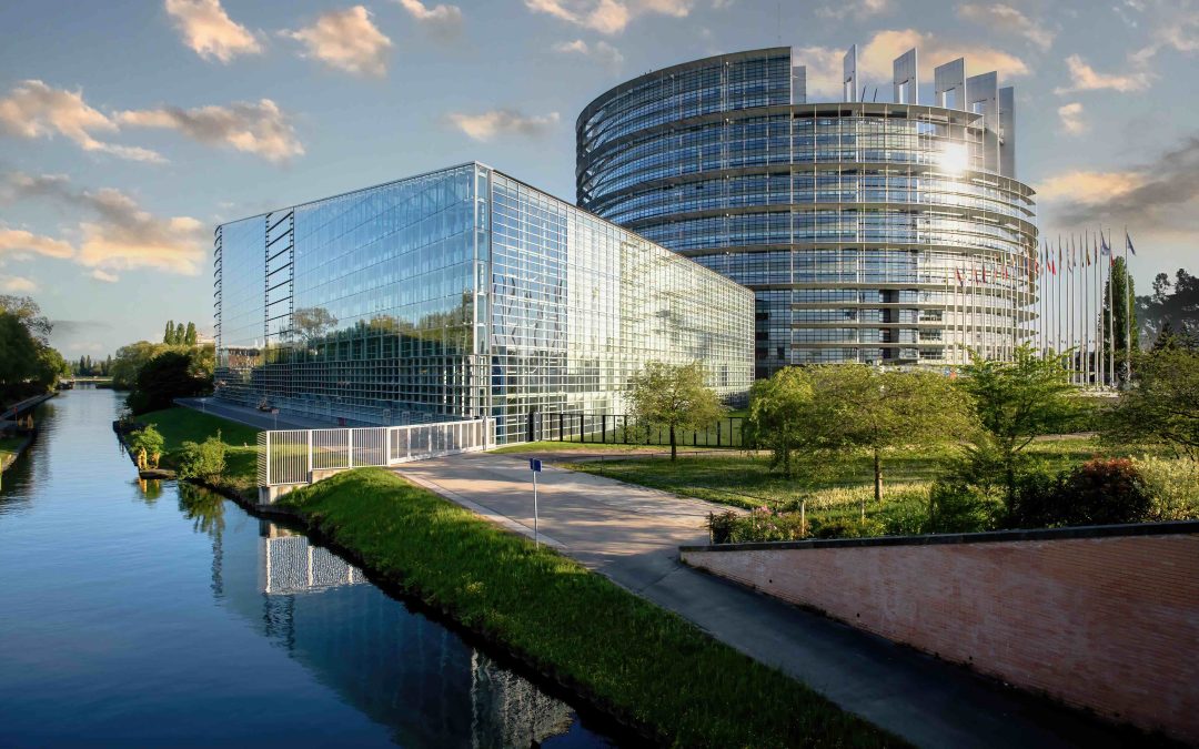 The As-Efficient Competitor Test: A Cornerstone or a Controversy in EU Competition Law?