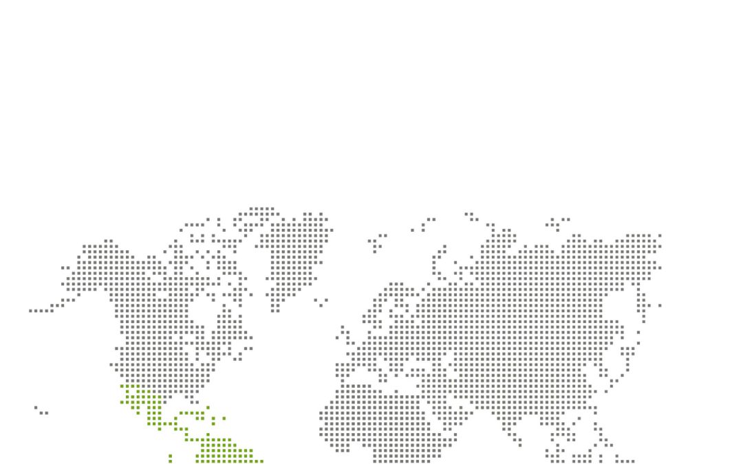 Critical Decision: COFECE and the Future of E-commerce Competition in Mexico